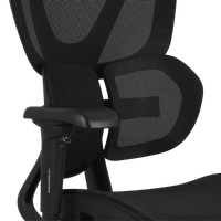 Компьютерное кресло Evolution LX 1 черный