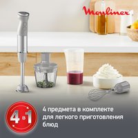 Immersion blender Moulinex DD673B10 gray
