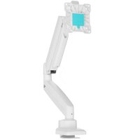 Monitor mount ONKRON G80
