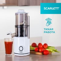 Соковыжималка электрическая Scarlett SC-JE50S63 белый