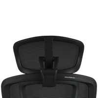 Компьютерное кресло Evolution LX 2 черный