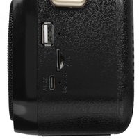 Радиоприемник Ritmix RPR-040 черный