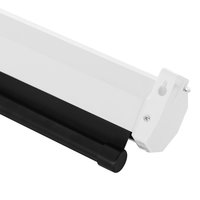100" Экран для проектора DEXP WME-100