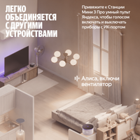 Умная колонка Яндекс Станция Мини 3 Про серый