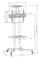 Kronshteynli ustun DEXP T1028B