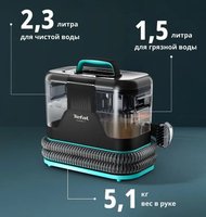 Пылесос моющий Tefal Clean It IZ5020F0 черный