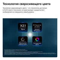 55" (139 см) Телевизор LG OLED55B6RLA серый