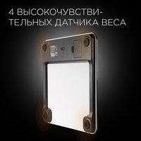 Весы Redmond 745S черный