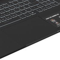 16" Ноутбук ASUS TUF Gaming FX608JMR-RV037) серый