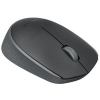 Мышь Logitech M170 [910-004658]