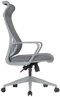 Computer chair CHAIRMAN CH577 gray