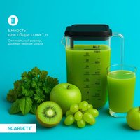 Соковыжималка электрическая Scarlett SC-JE50S65 серебристый