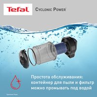 Пылесос  Tefal Cyclonic Power TW1931RH синий