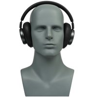 Беспроводные/проводные наушники JBL LIVE 780NC  черный 2026