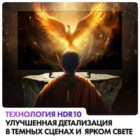 43" (109 см) Телевизор EVO TV 43 черный