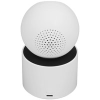 IP-камера Xiaomi Smart Camera C300 Dual