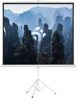 99" Экран для проектора DEXP TM-70