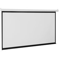 100" Экран для проектора DEXP WME-100