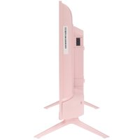 24" (61 см) Телевизор EVO TV 24 розовый