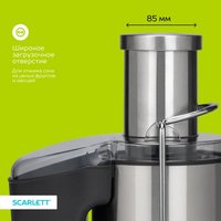 Соковыжималка электрическая Scarlett SC-JE50S65 серебристый