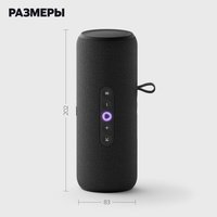 Умная портативная колонка Яндекс Станция Стрит, черный