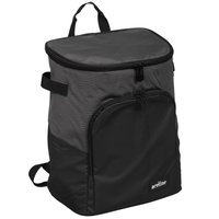 Изотермическая сумка Aceline BP-21