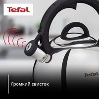 Чайник для плиты Tefal N4180317 серебристый