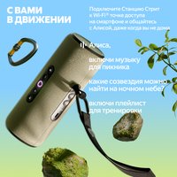 Умная портативная колонка Яндекс Станция Стрит, серый