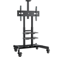 Стойка с кронштейном ONKRON TS1881