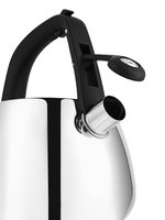 Чайник для плиты Polaris Mela-2.5L серебристый