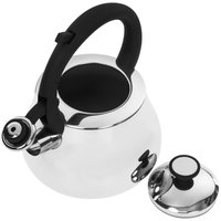 Чайник Polaris Calido-2.8 L серебристый