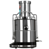 Соковыжималка электрическая Scarlett SC-JE50S65 серебристый