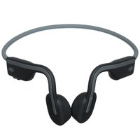 Беспроводные наушники SHOKZ OPENRUN PRO  черный