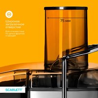 Соковыжималка электрическая Scarlett SC-JE50S64 серебристый