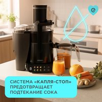 Соковыжималка электрическая Eigen Jona EJ13S01 черный