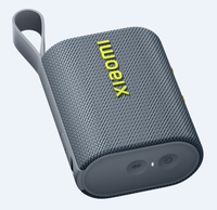 Портативная колонка Xiaomi Sound Pocket, серый