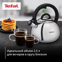 Чайник для плиты Tefal N4180317 серебристый