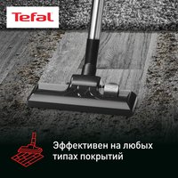 Пылесос  Tefal Compact Power TW3786RA серый