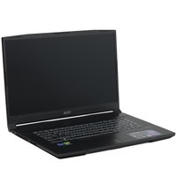 17.3" Laptop MSI Katana 17 B13VEK-1088XRU black