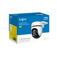 IP-камера TP-LINK Tapo TC40
