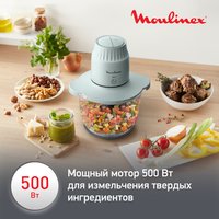 Измельчитель  Moulinex Choppeo DJ603110 зеленый