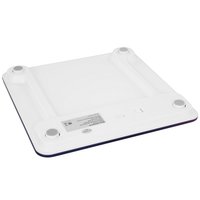 Весы Renpho Core 1 Body Scale BG260R разноцветный