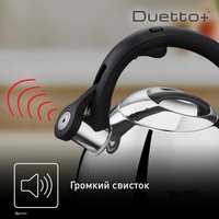 Чайник для плиты Tefal Duetto+ N4180110 серебристый