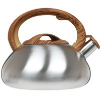 Чайник для плиты Aceline TS-305 серебристый