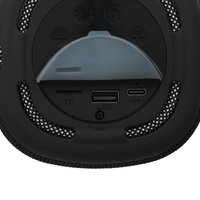 Портативная колонка DEXP DPS-310, черный