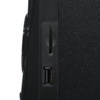 Колонки DEXP DAS-211 черный