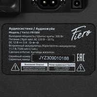 Портативная аудиосистема Fiero Emotion 200 FR1000, черный