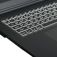 17.3" Ноутбук ARDOR GAMING NEO N17-I5ND413 черный
