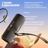 Умная портативная колонка Яндекс Станция Стрит, черный