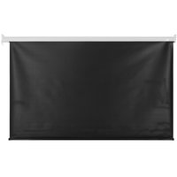 100" Экран для проектора DEXP WME-100